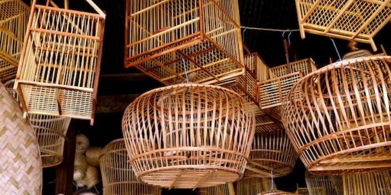 Bamboo bird deals cage