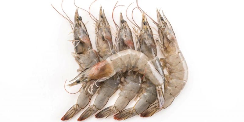 The prawn: qualities and benefits - Entrenosotros