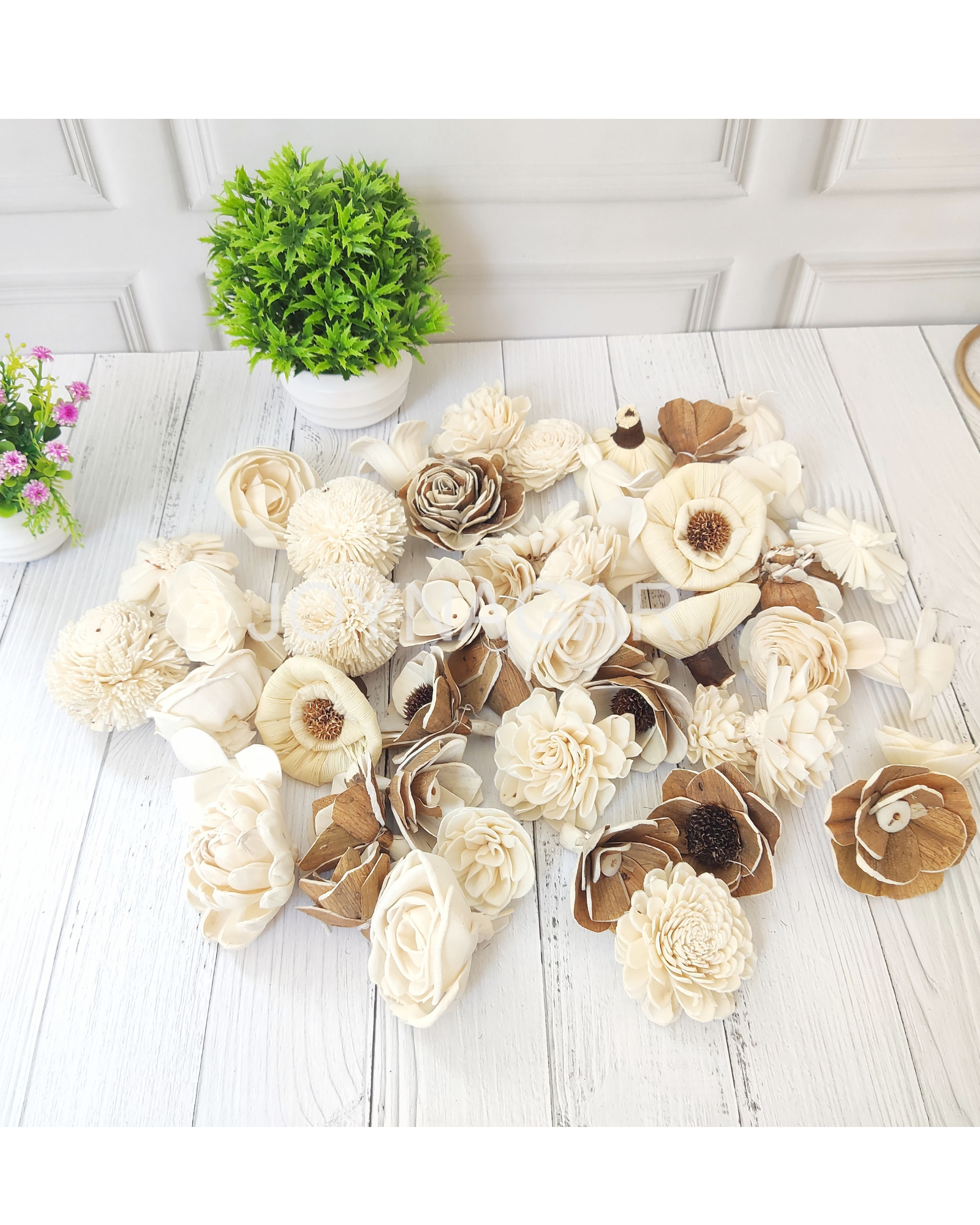 Assortment Sola Wood Flower Head Loose | Random Stock | 6cm Size