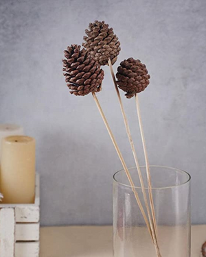 Dried Natural Decorative Pine Cone stick