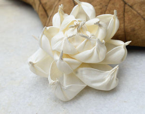 Poise Sola Wood Flower - JOYNAGAR