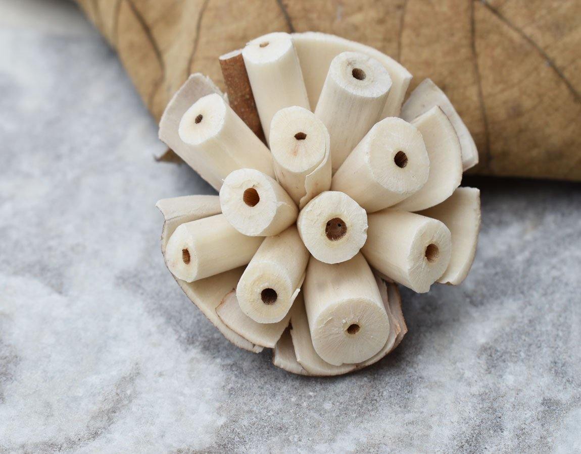 Burl Sola Wood Skin Flower - JOYNAGAR