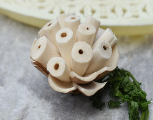 Burl Sola Wood Skin Flower - JOYNAGAR