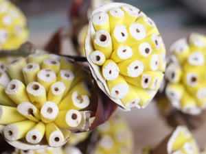 Decorative Burl Sola Wood Flower Stick Joynagar Handicraft Artificial Flowers color_yellow