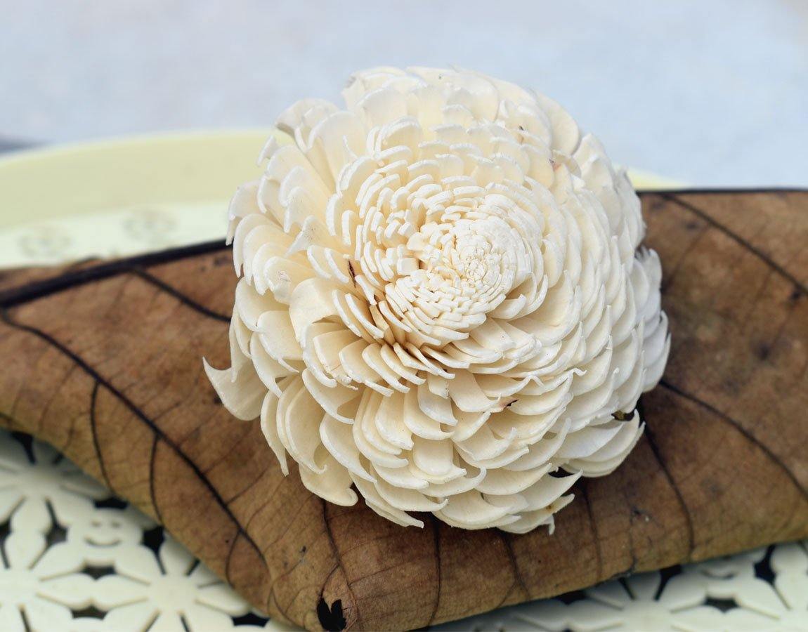 Cedar Sola Wood Flower - JOYNAGAR