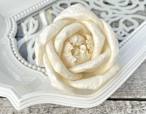 Gloriana Sola Wood Flower - JOYNAGAR