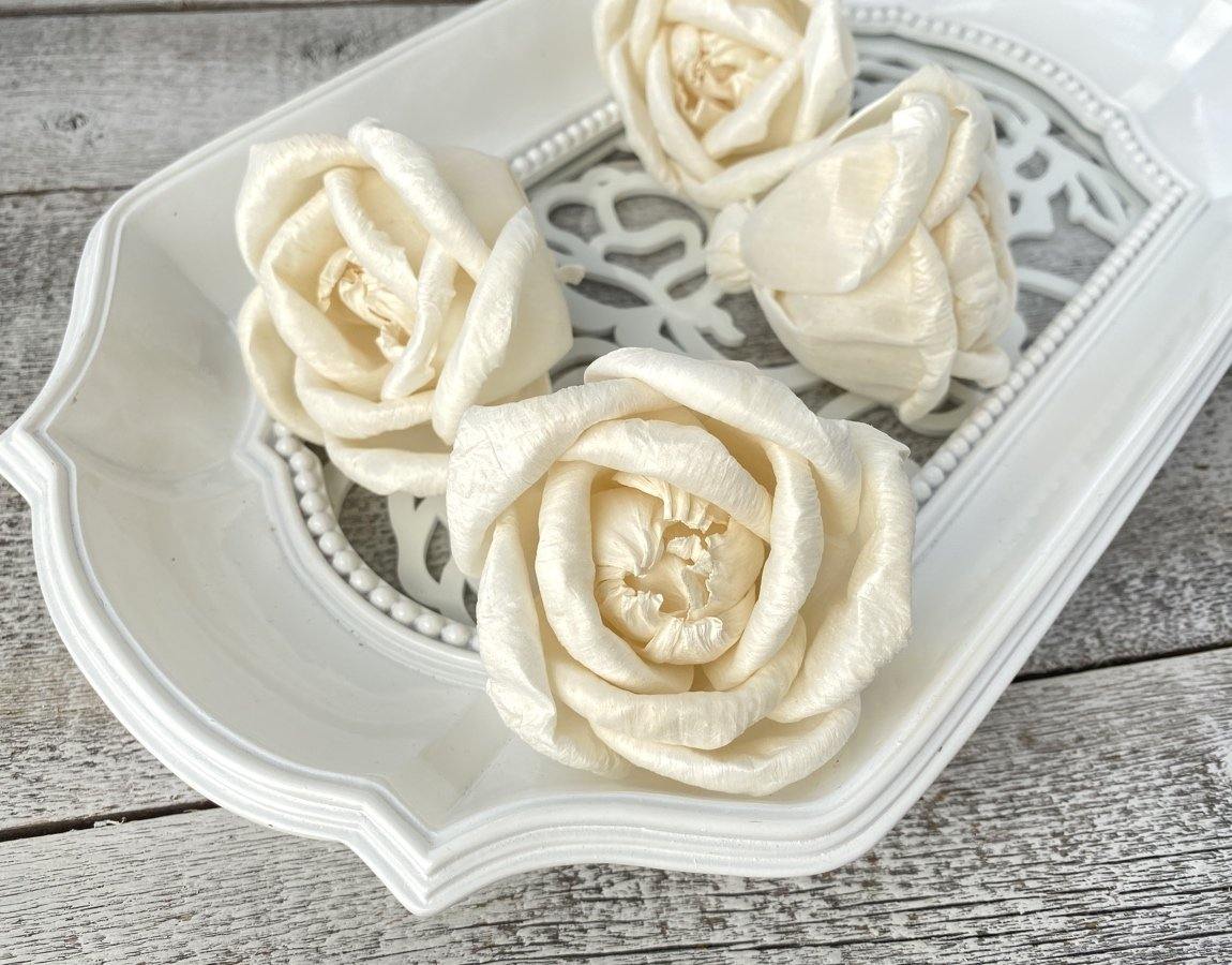 Gloriana Sola Wood Flower - JOYNAGAR