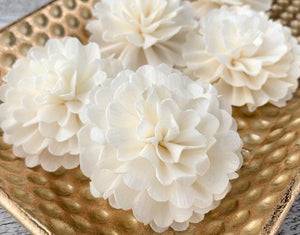 Feather Ball Sola Wood Flower - JOYNAGAR