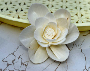 Fleur Sola Wood Flower - JOYNAGAR