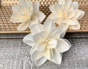 Jenella Sola Wood Flower - JOYNAGAR