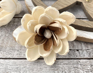 Joie Sola Wood Flower - JOYNAGAR
