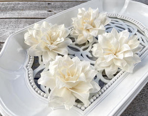 Cornelie Sola Wood Flower - JOYNAGAR