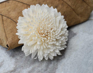 Wild Zinnia Sola Wood Flower - JOYNAGAR