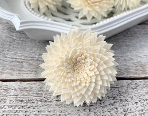 Chrysanthemum Sola Wood Flower - JOYNAGAR