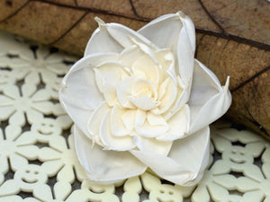 Amber Sola Wood Flowers - Natural and Eco-Friendly Floral Decor