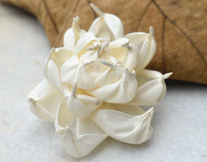 Azalea Sola Wood Flower - JOYNAGAR