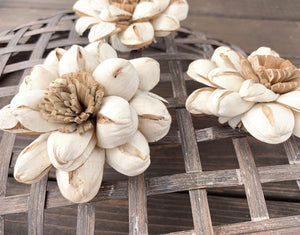 Chocolate Sun Sola Wood Flower - JOYNAGAR
