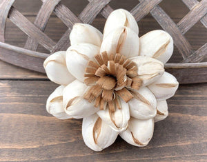 Chocolate Sun Sola Wood Flower - JOYNAGAR