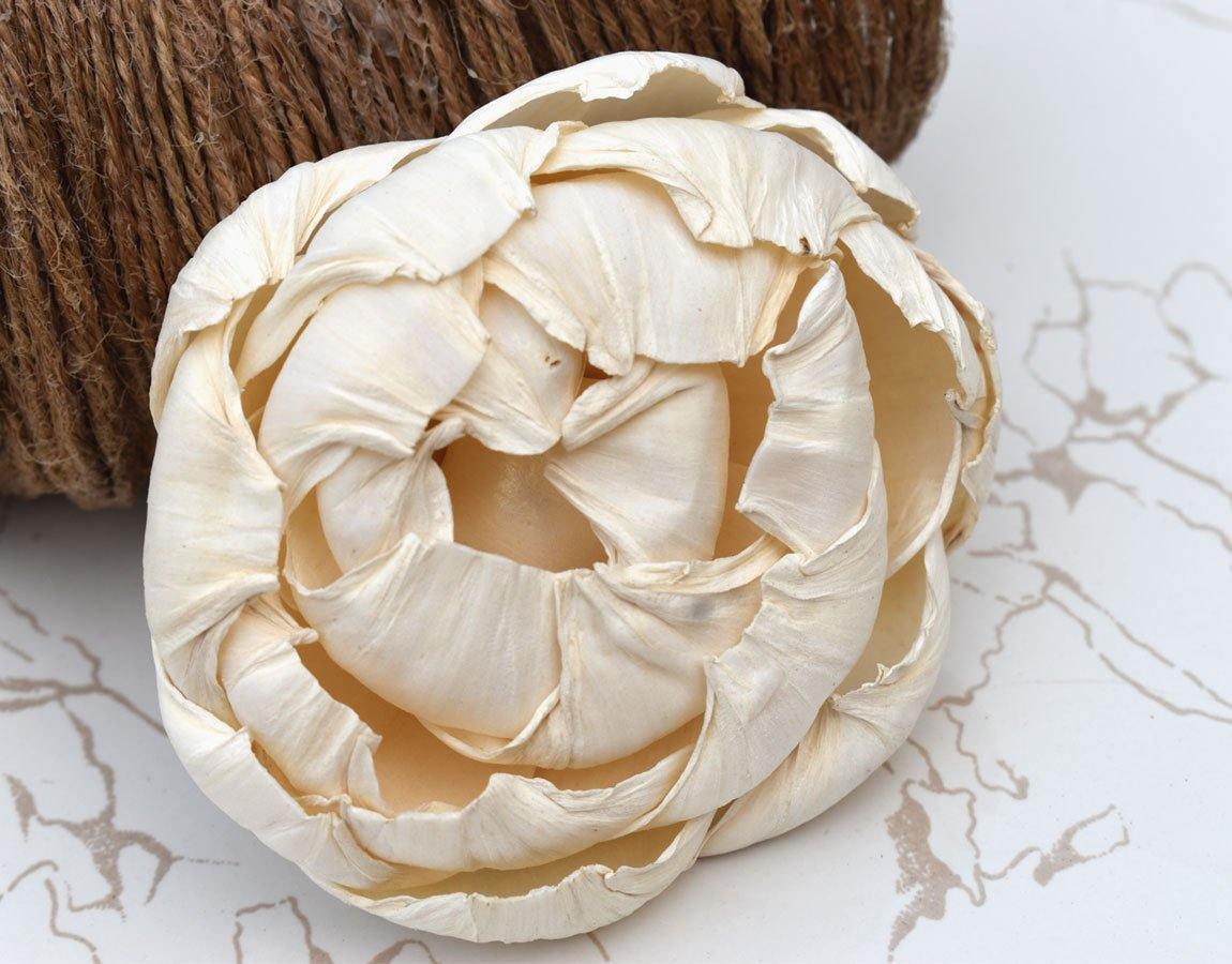 Closed Peony Sola Wood Flower - JOYNAGAR