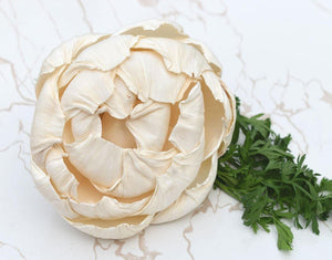 Closed Peony Sola Wood Flower - JOYNAGAR