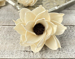 Daisy Eclipse Sola Wood Flower - JOYNAGAR