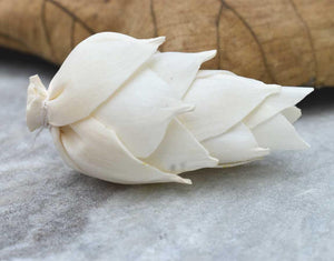 Leilani Pine Sola Wood Flower - JOYNAGAR