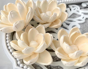 Leo Sola Wood Flower - JOYNAGAR