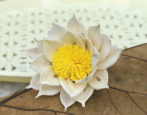 Marguerite Sola Wood Flower - JOYNAGAR