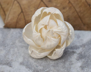 Peony Sola wood Flower - JOYNAGAR