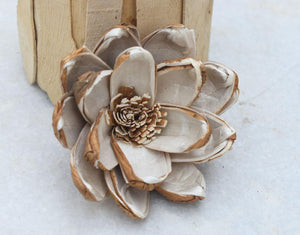 Senna Sola Wood Skin Flower - JOYNAGAR