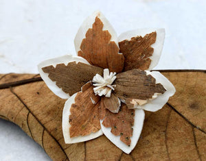 Sky Star Sola Wood Skin Flower - JOYNAGAR
