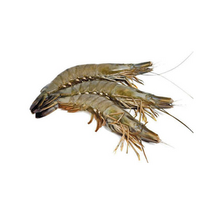Fresh C Grade Sundarban Tiger Prawn/ Shrimp Unpeeled Frozen-online joynagar