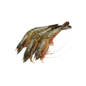 Fresh A Grade Sundarban Tiger Prawn/ Shrimp Unpeeled Frozen