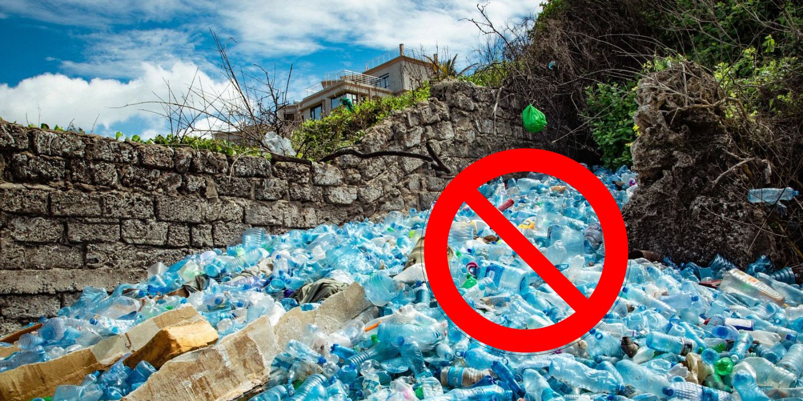 Say no to plastic and choose sustainable living with eco-friendly bamboo products for your home.