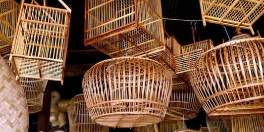 Bamboo Cage