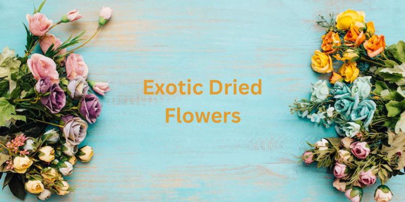 Decorate Your House with An Amazing Range of Baskets