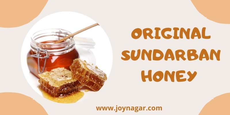 Sundarban Forest Honey
