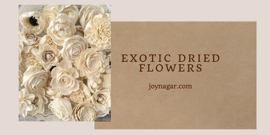 Check Out Some Alluring Benefits of Dried Flowers