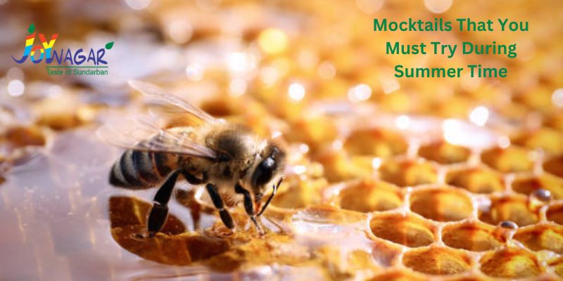 Mocktails That You Must Try During Summer Time