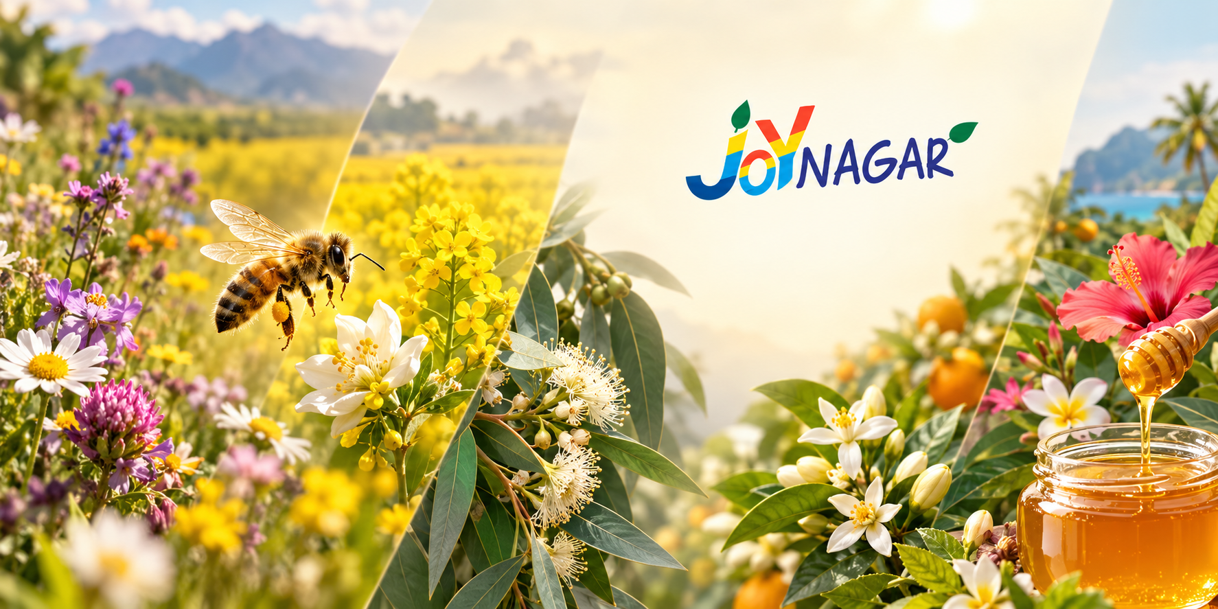 The Role of Flora in Shaping Honey's Aroma Across Different Regions