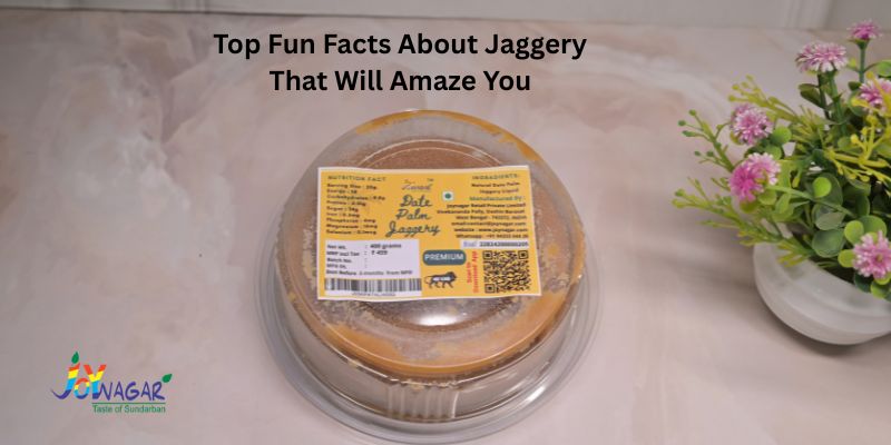 Top Fun Facts About Jaggery That Will Amaze You