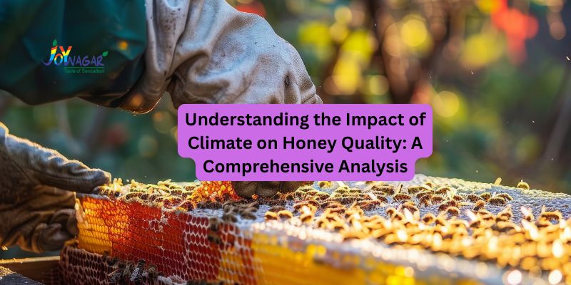 Understanding the Impact of Climate on Honey Quality: A Comprehensive Analysis
