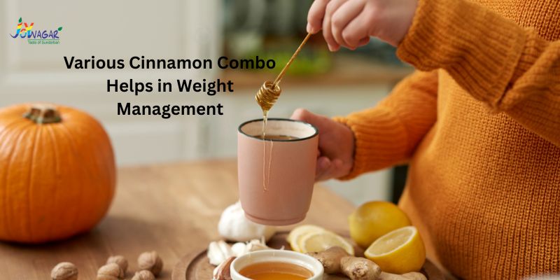 Various Cinnamon Combo Helps in Weight Management