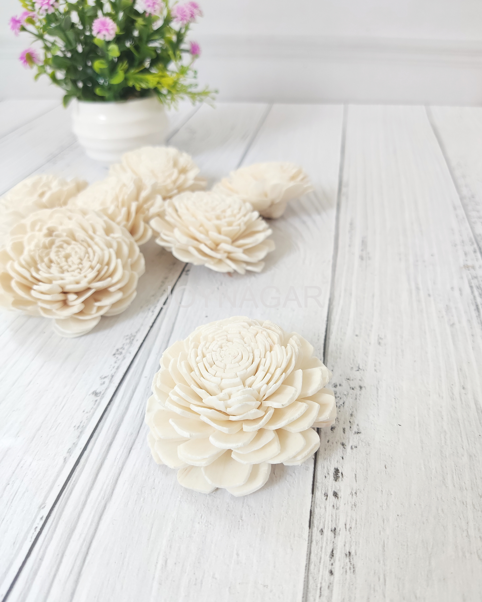 Belli Sola Wood Flower