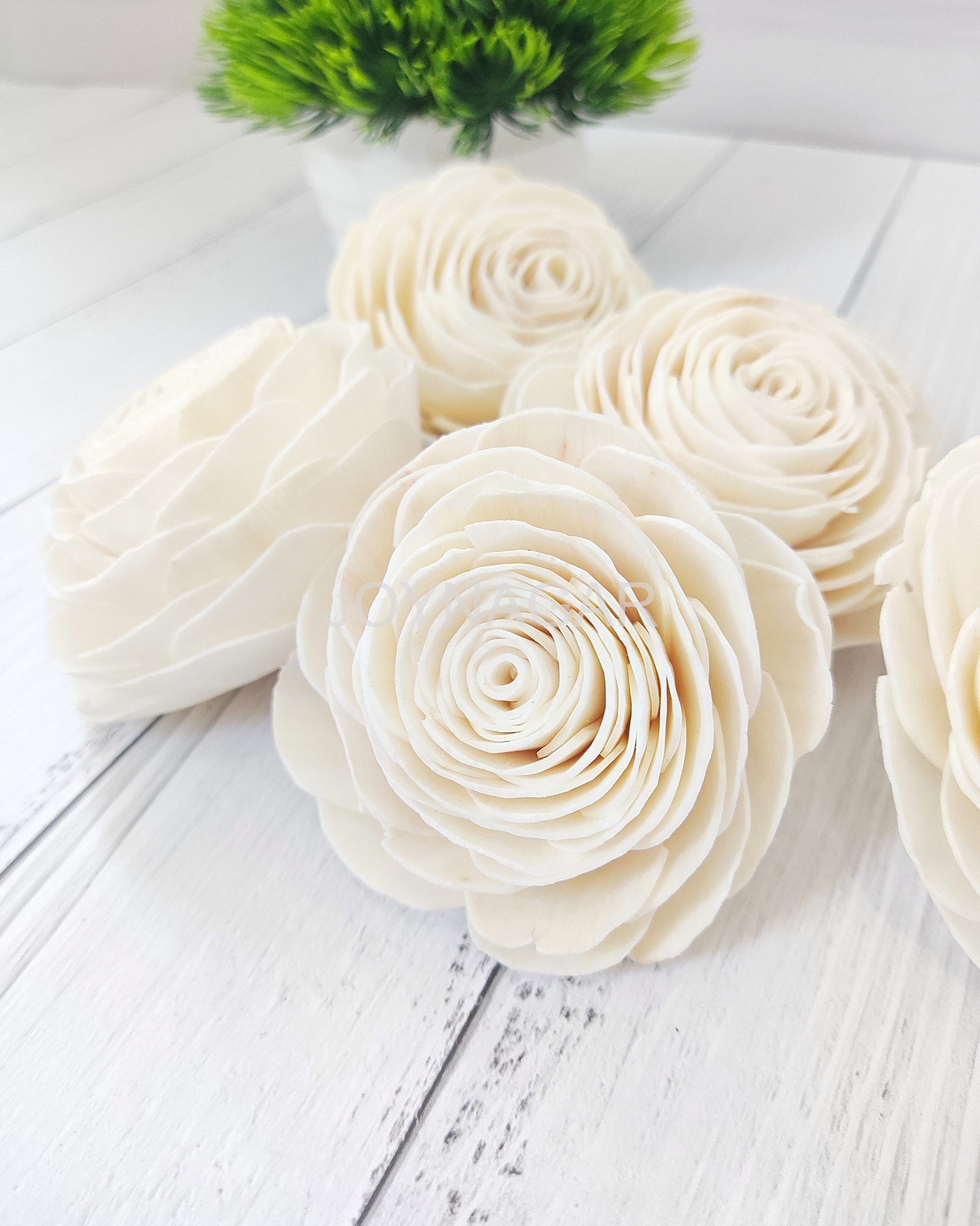 Beauty Rose Sola Wood Flower Loose