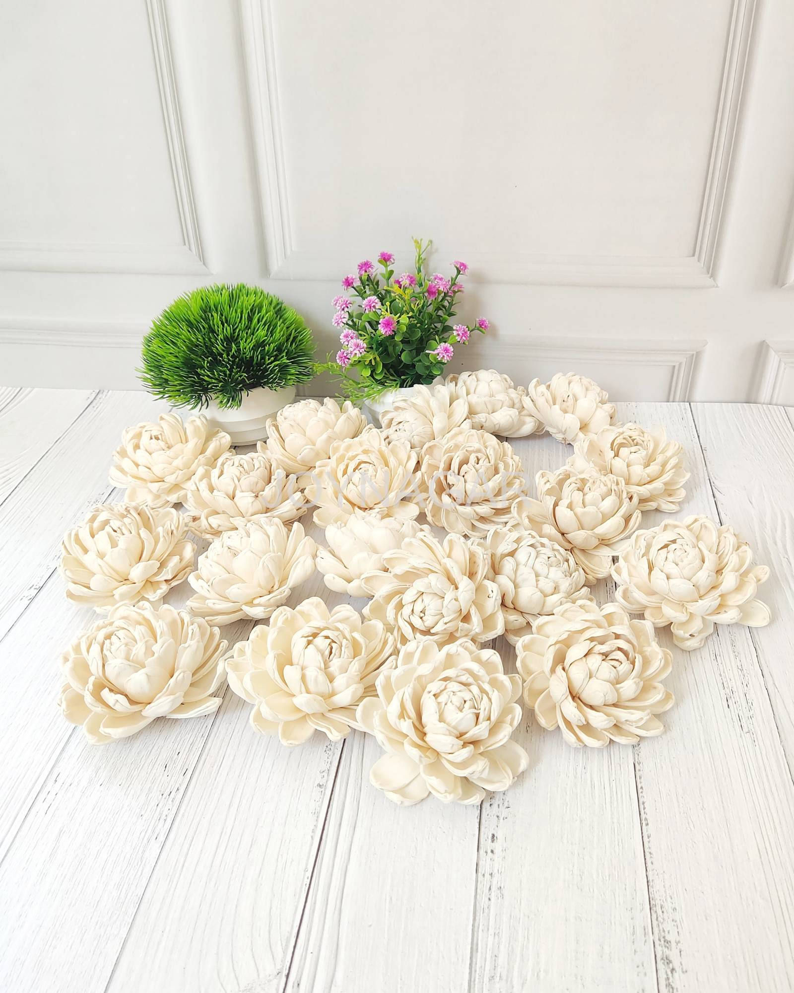 Curl Beauty Sola Wood Flower