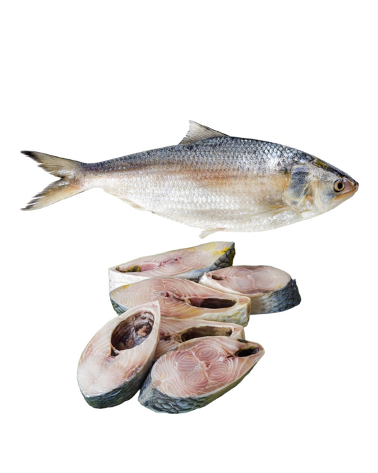 Original Fresh Hilsa Fish | Kolkata Ilish Fish Frozen | Cut Piece