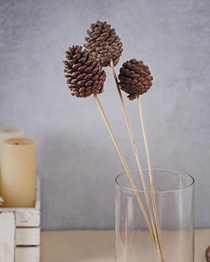 Dried Natural Decorative Pine Cone stick 