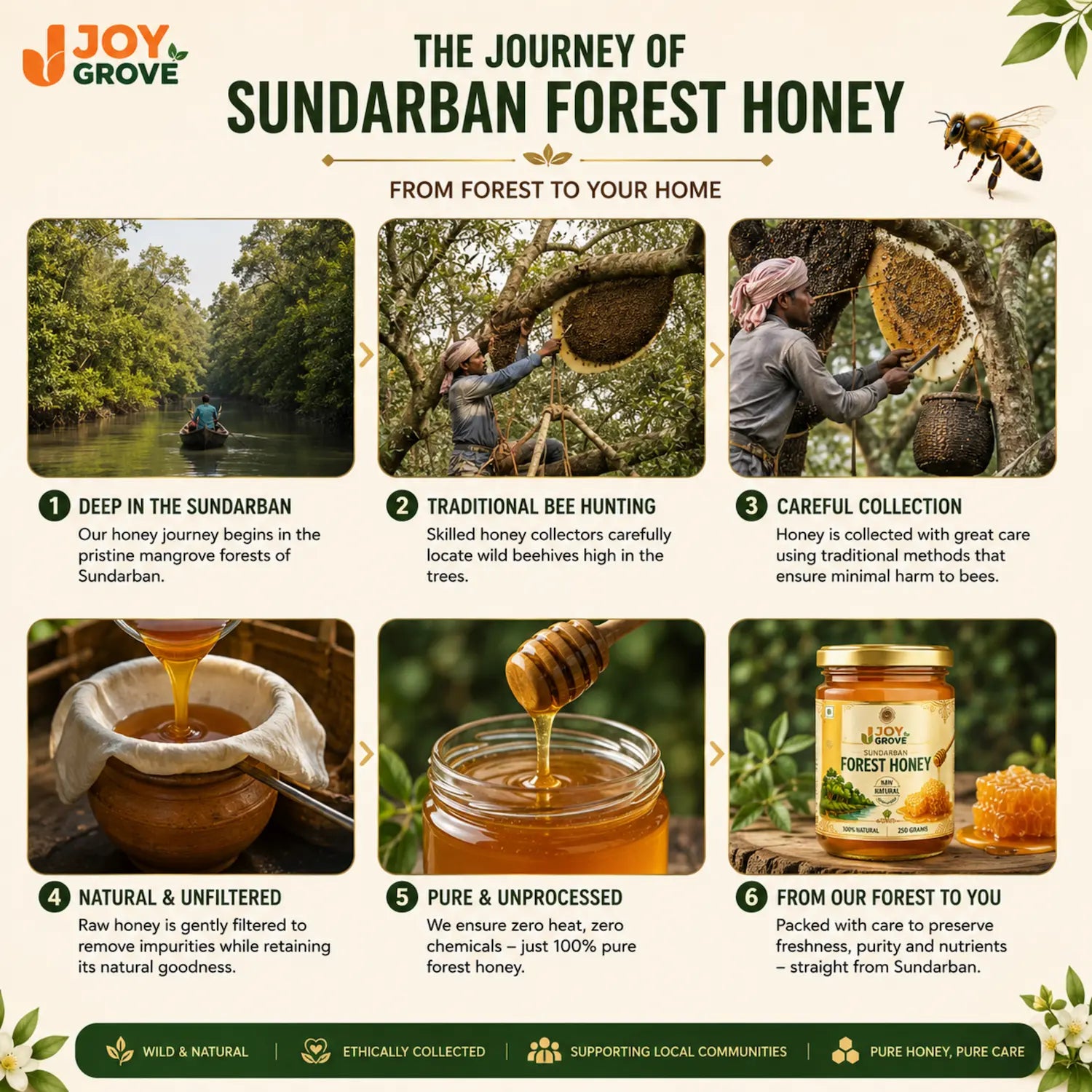 Traditional harvesting process of Joygrove Sundarban Forest Honey from the mangrove forests