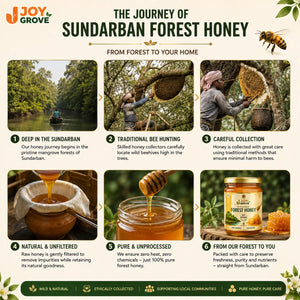 Traditional harvesting process of Joygrove Sundarban Forest Honey from the mangrove forests